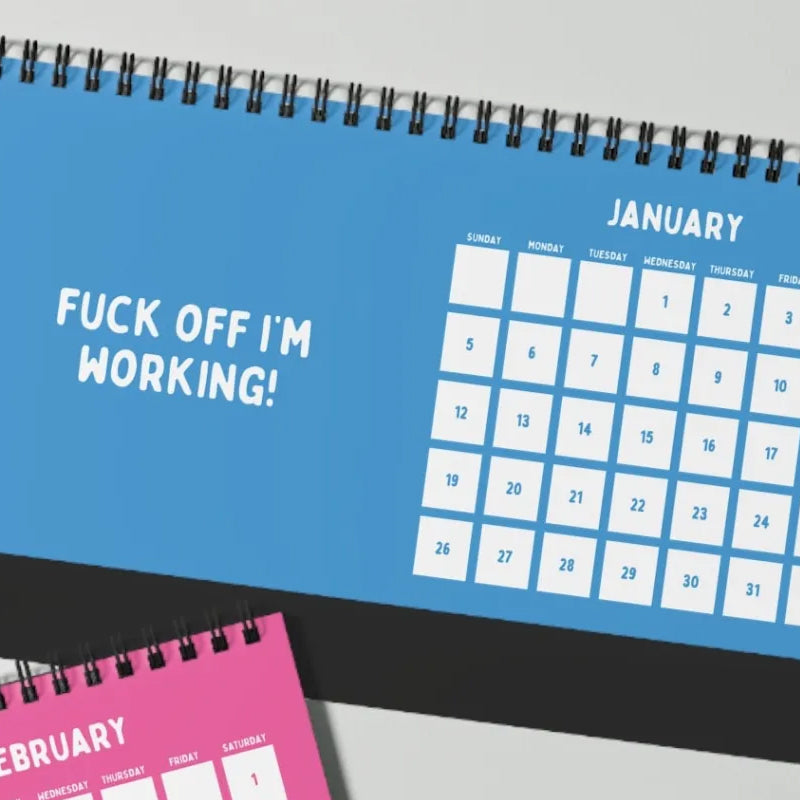 Lisslune | Funny 2025 sarcastic calendar