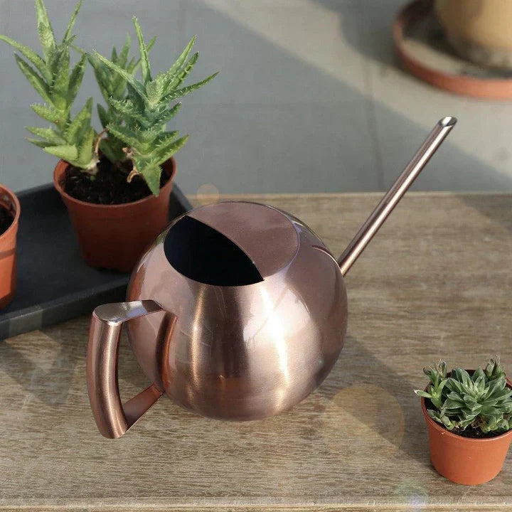 Lisslune | AquaSleek - Precision watering can for delicate plants