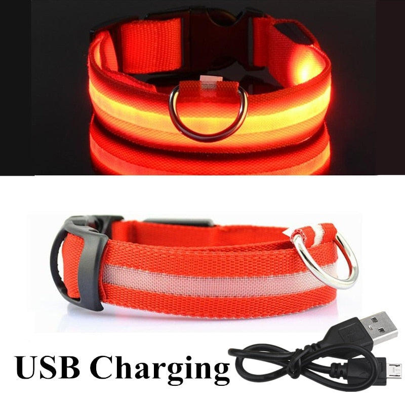 Lisslune | Adjustable LED collar
