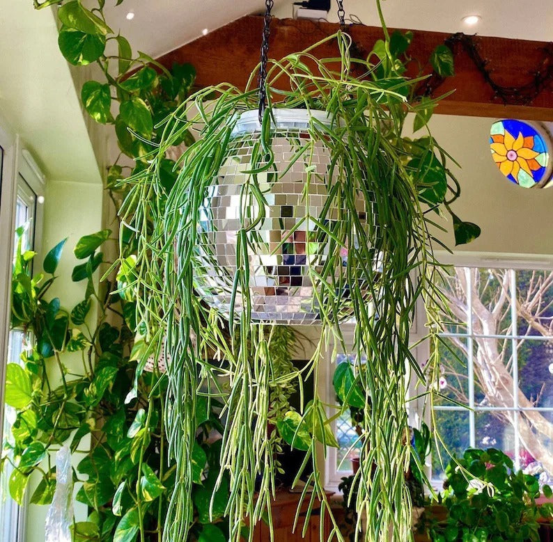 Lisslune | Disco Ball Hanging Planter