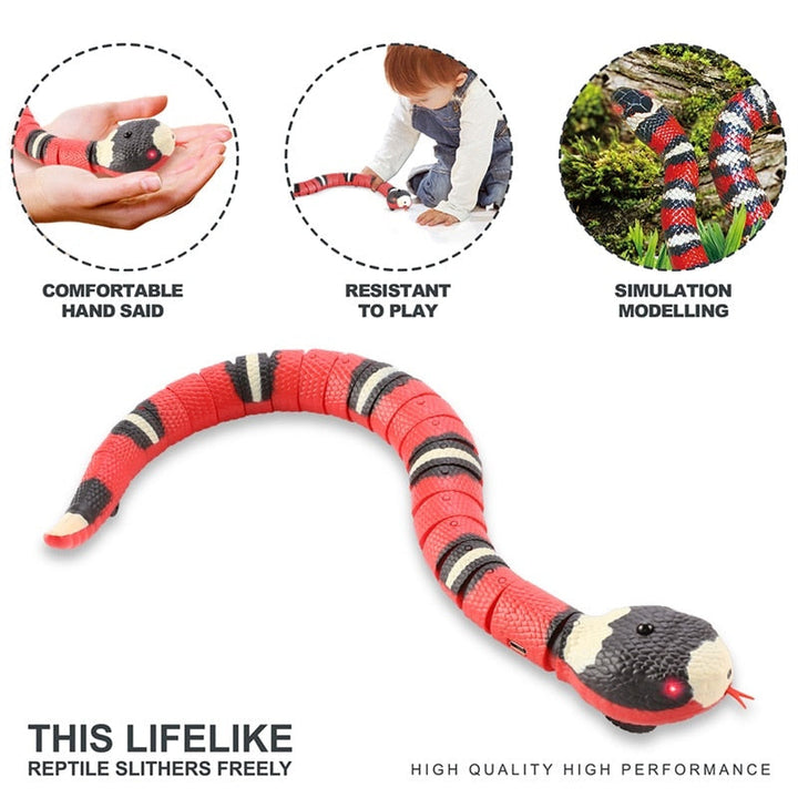 Lisslune | Smart Sensing Snake Tease Toy