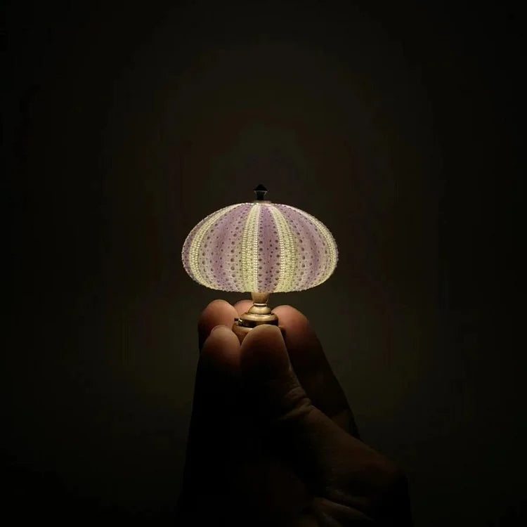 Lisslune | LumiCraft – Unique DIY table lamp with natural sea shell for a cozy décor