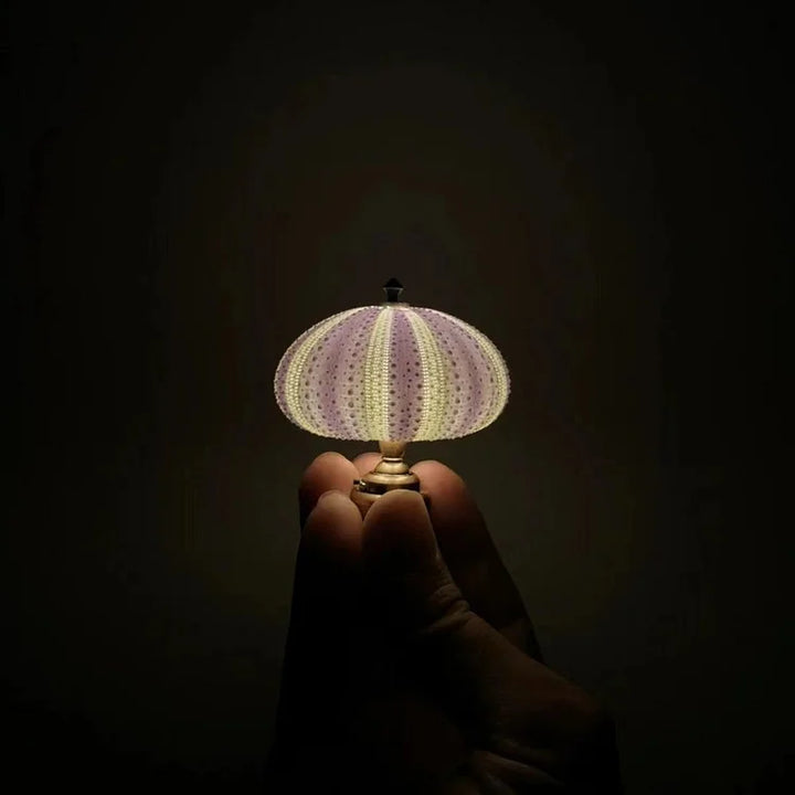 Lisslune | LumiCraft – Unique DIY table lamp with natural sea shell for a cozy décor