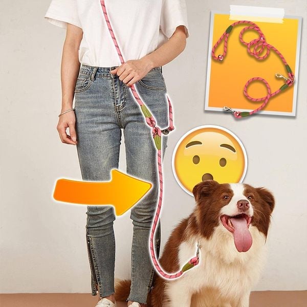 Lisslune | Hands Free Dog Leashes