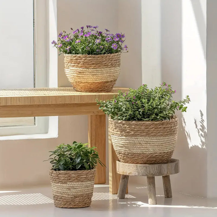 Lisslune | Decorative plant baskets made of seagrass in a set of 3 – Handwoven flower pots with foil insert