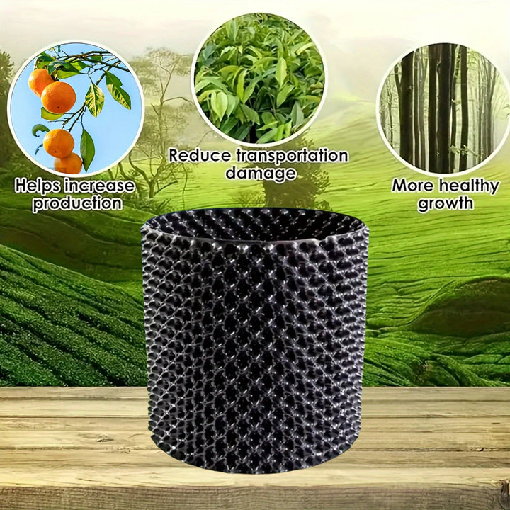 Lisslune | Root control device for plants and landscaping to promote healthy growth