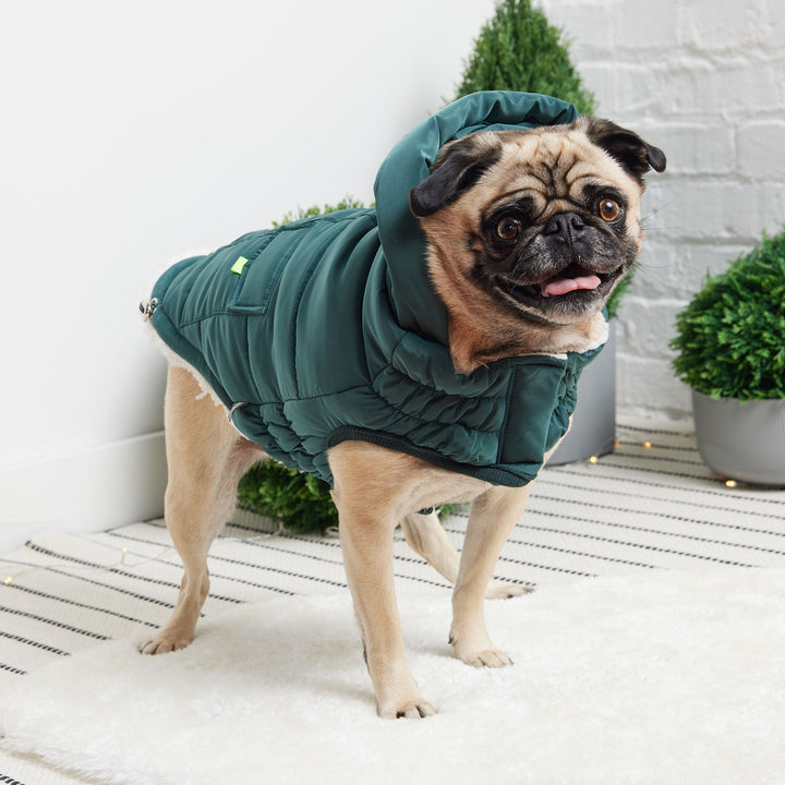 Lisslune | Super Puff Parka - Teal