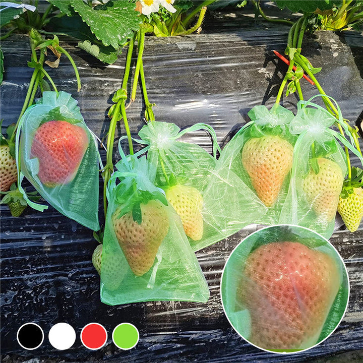 Lisslune | Fruit Protection Bag (100 PCS)