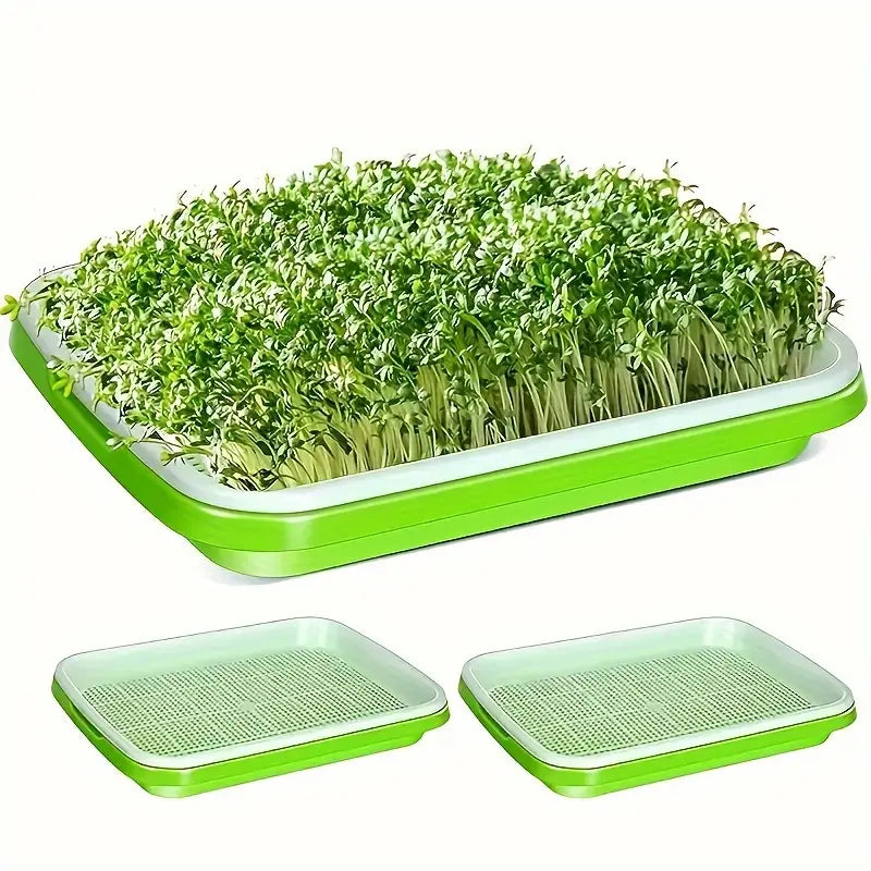 Lisslune | Germination trays with lid – Double-layer seed sowing tray for effective seed germination