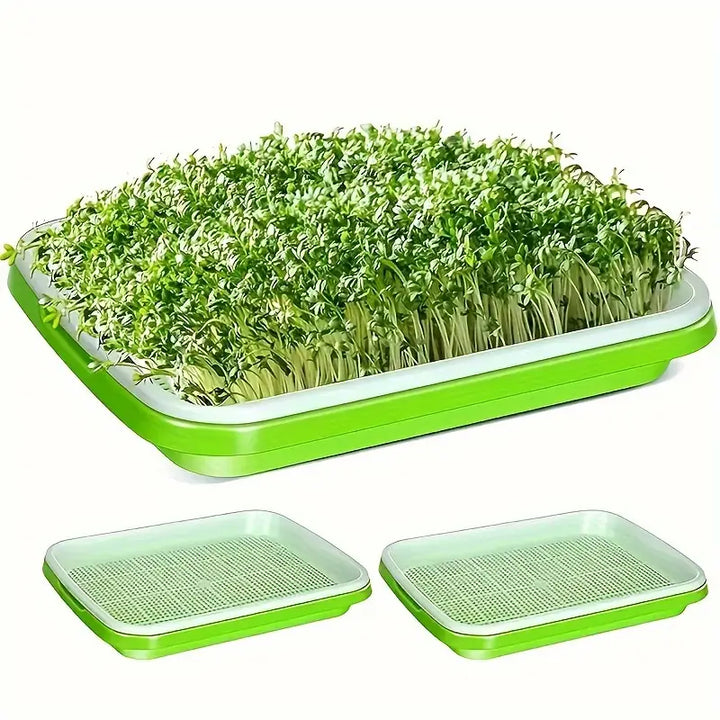 Lisslune | Germination trays with lid – Double-layer seed sowing tray for effective seed germination