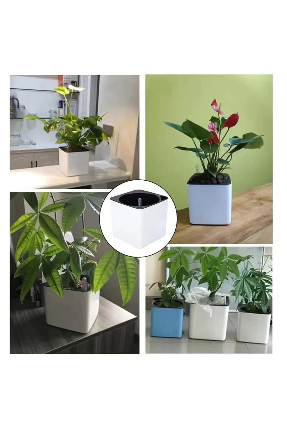 Lisslune | white plant pots