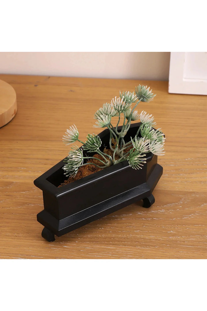 Lisslune | Coffin Plant Pot