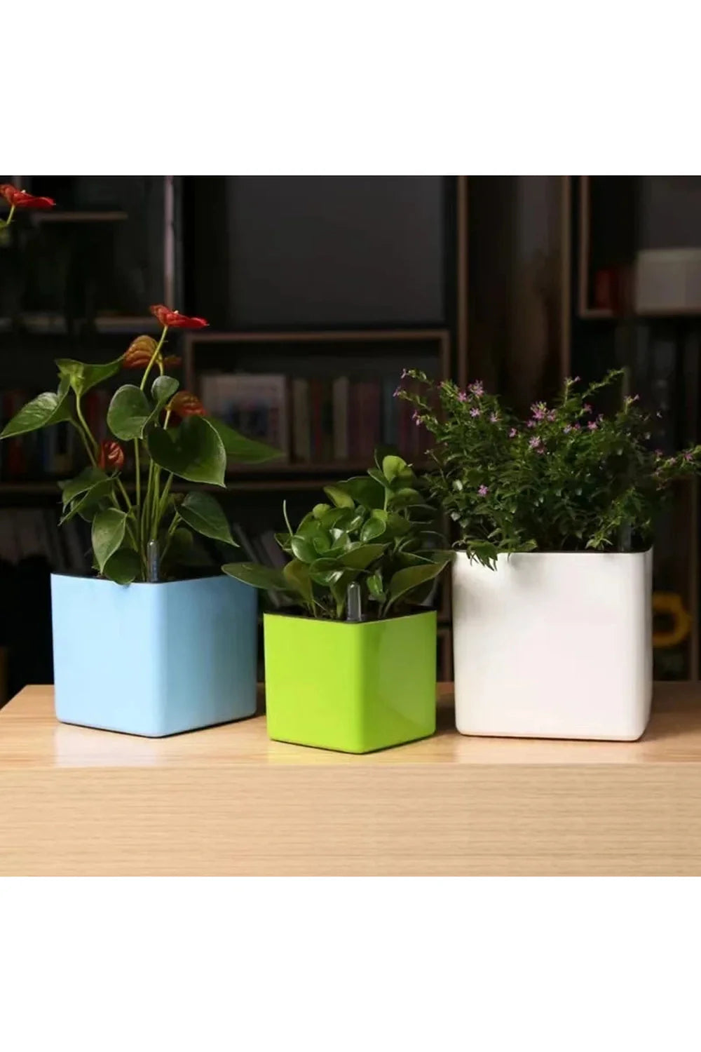 Lisslune | white plant pots