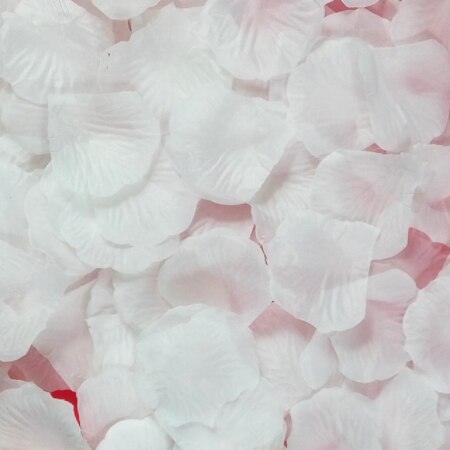 Lisslune | Romantic Elegance Silk Rose Petals Collection: 1000 Luxurious Red Petals for Memorable Celebrations