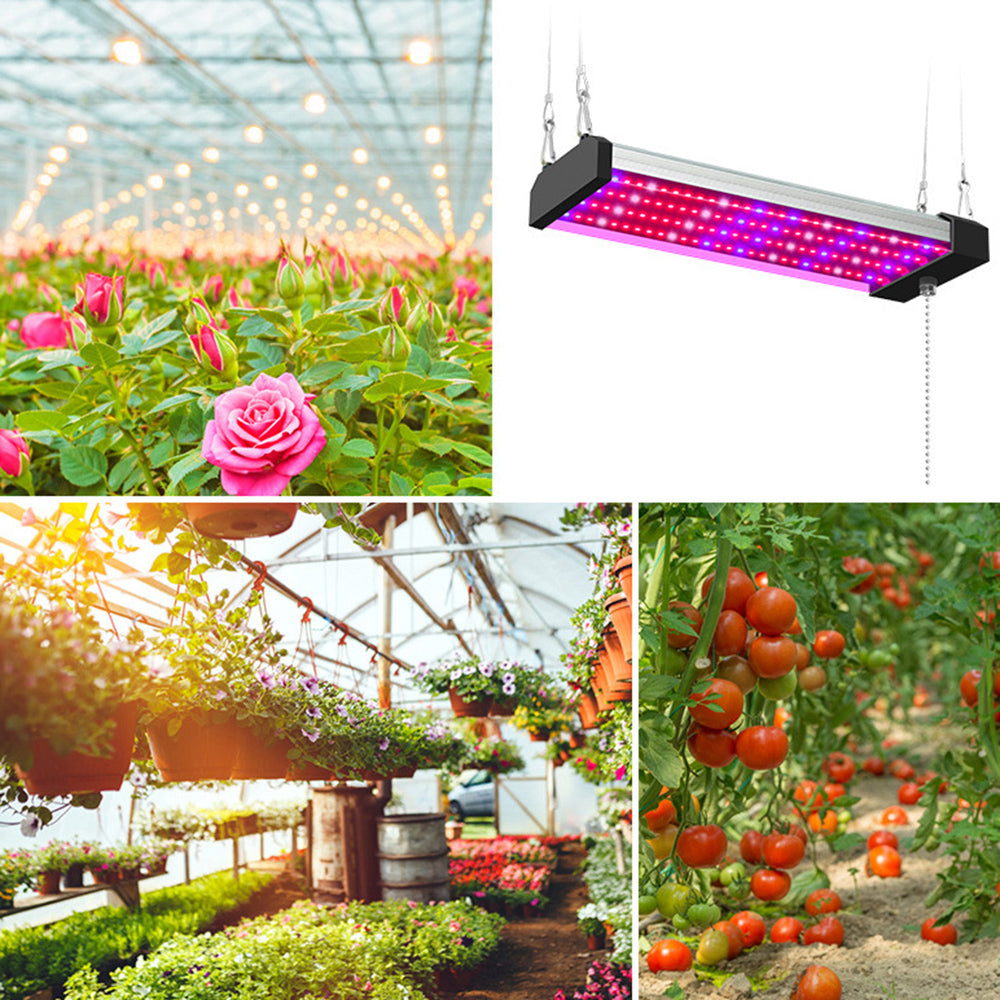 Lisslune | LED plant lamp with full spectrum lighting and pull switch for optimal plant growth