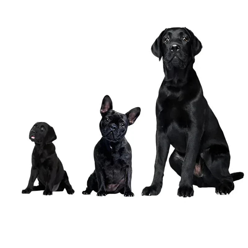 Lisslune | Ultrasonic Dog Repeller – USB Rechargeable Anti-Bark Training Device for All Breeds