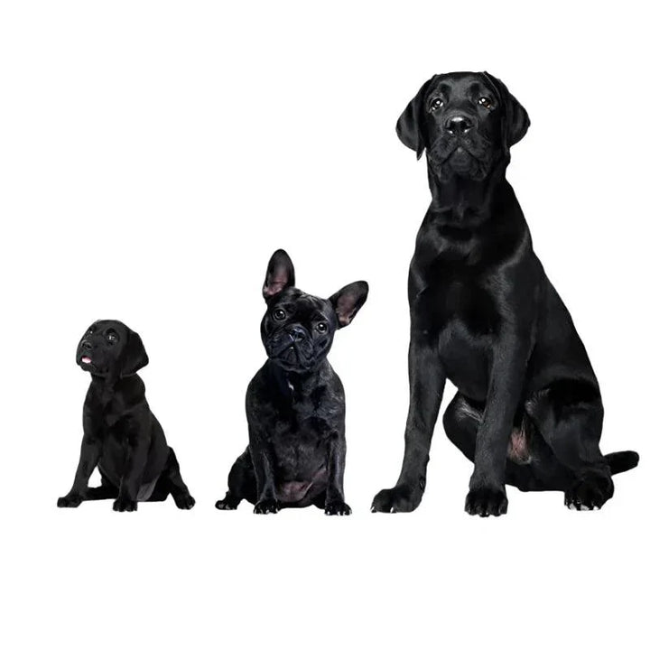 Lisslune | Ultrasonic Dog Repeller – USB Rechargeable Anti-Bark Training Device for All Breeds