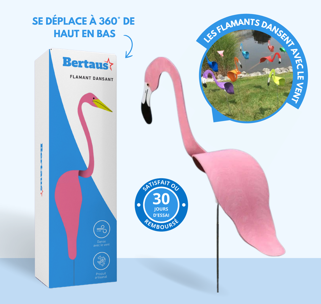 Lisslune | Flamingo Dancing