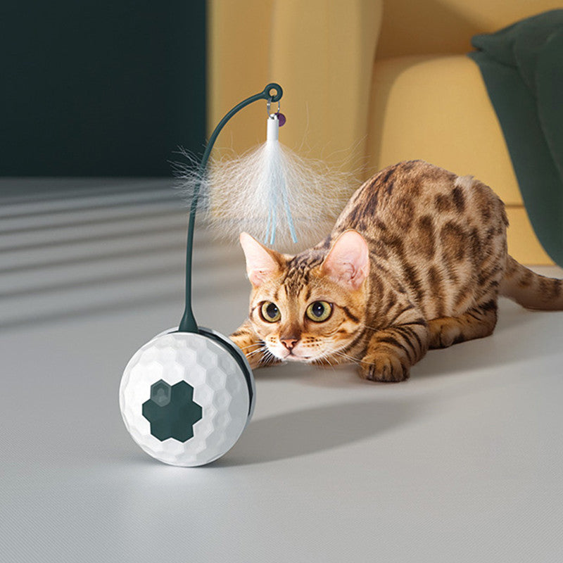 Lisslune | Automatic Funny Cat Toy