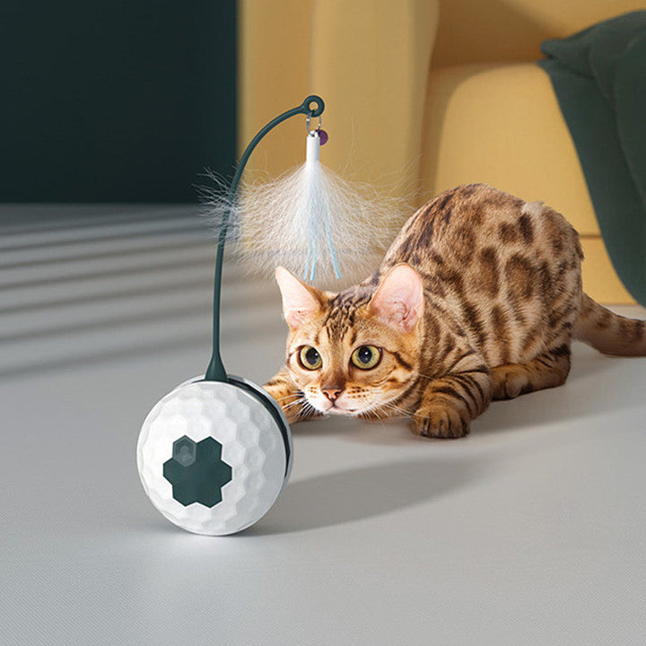 Lisslune | Automatic Funny Cat Toy