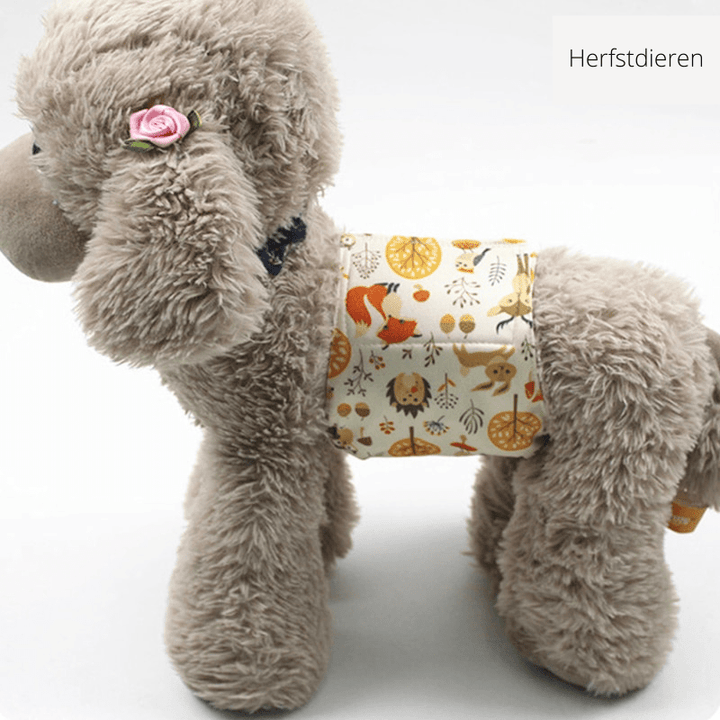 Lisslune | CLEANPAW – Washable dog diapers for heat & incontinence