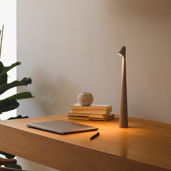 Lisslune | EcoLight – Energy-Efficient Rechargeable Desk Lamp