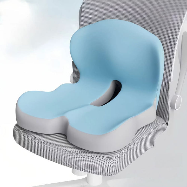 Lisslune | All-in-One Orthopedic Memory Foam Seat - Cushion Seat and Back Cushion for Pain Relief and Comfort