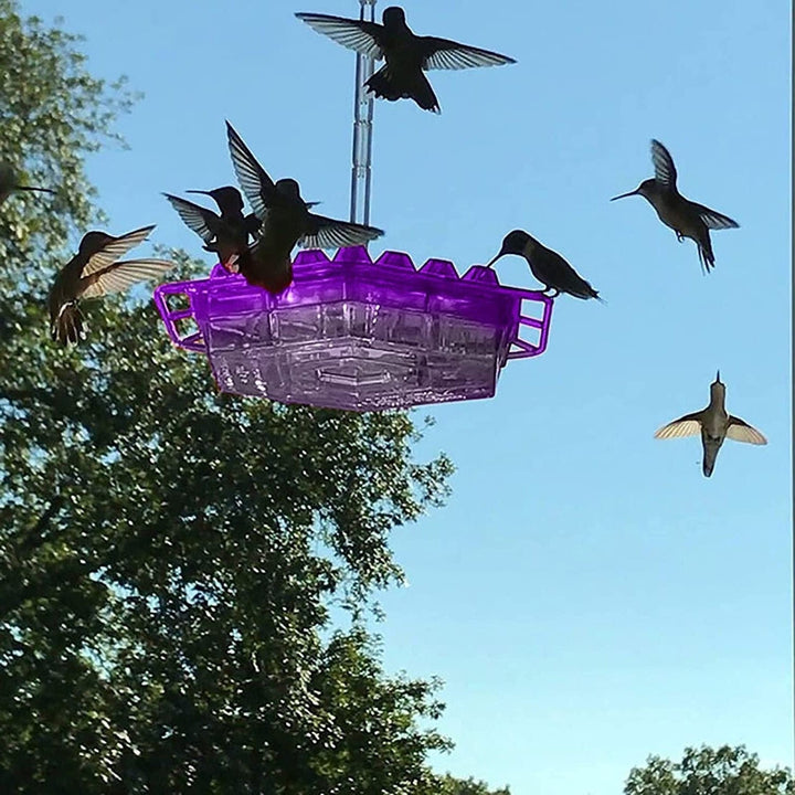 Lisslune | NectarHex – Ant-proof hummingbird feeder with 30 ports and UV-resistant design