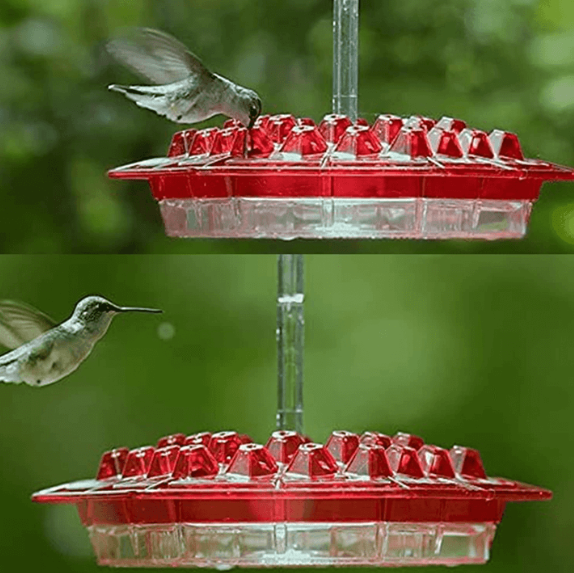 Lisslune | NectarHex – Ant-proof hummingbird feeder with 30 ports and UV-resistant design