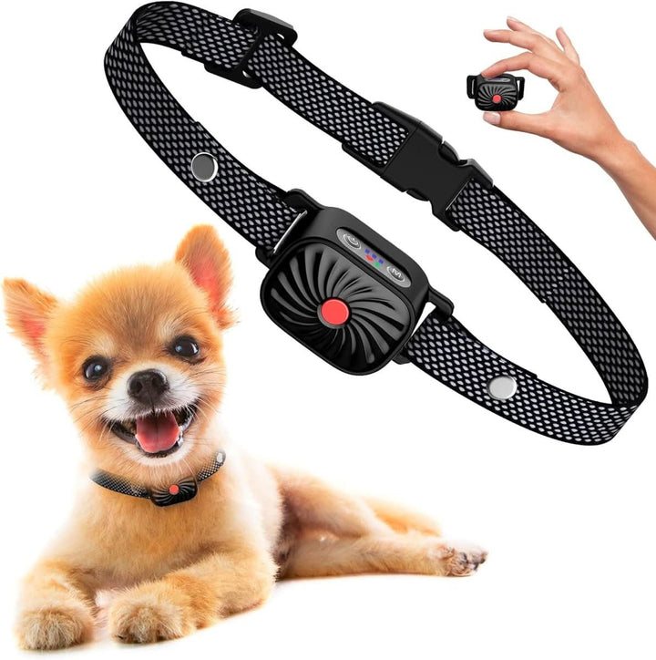 Lisslune | Anti-bark collar for small dogs with sound & vibration