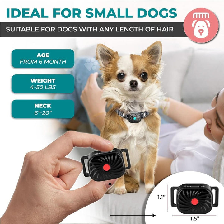 Lisslune | Anti-bark collar for small dogs with sound & vibration