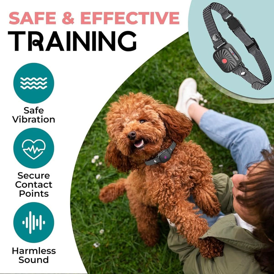 Lisslune | Anti-bark collar for small dogs with sound & vibration
