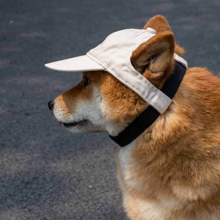 Lisslune | Adjustable Dog Sun Hat - Cute Ear-Out Summer Baseball Cap