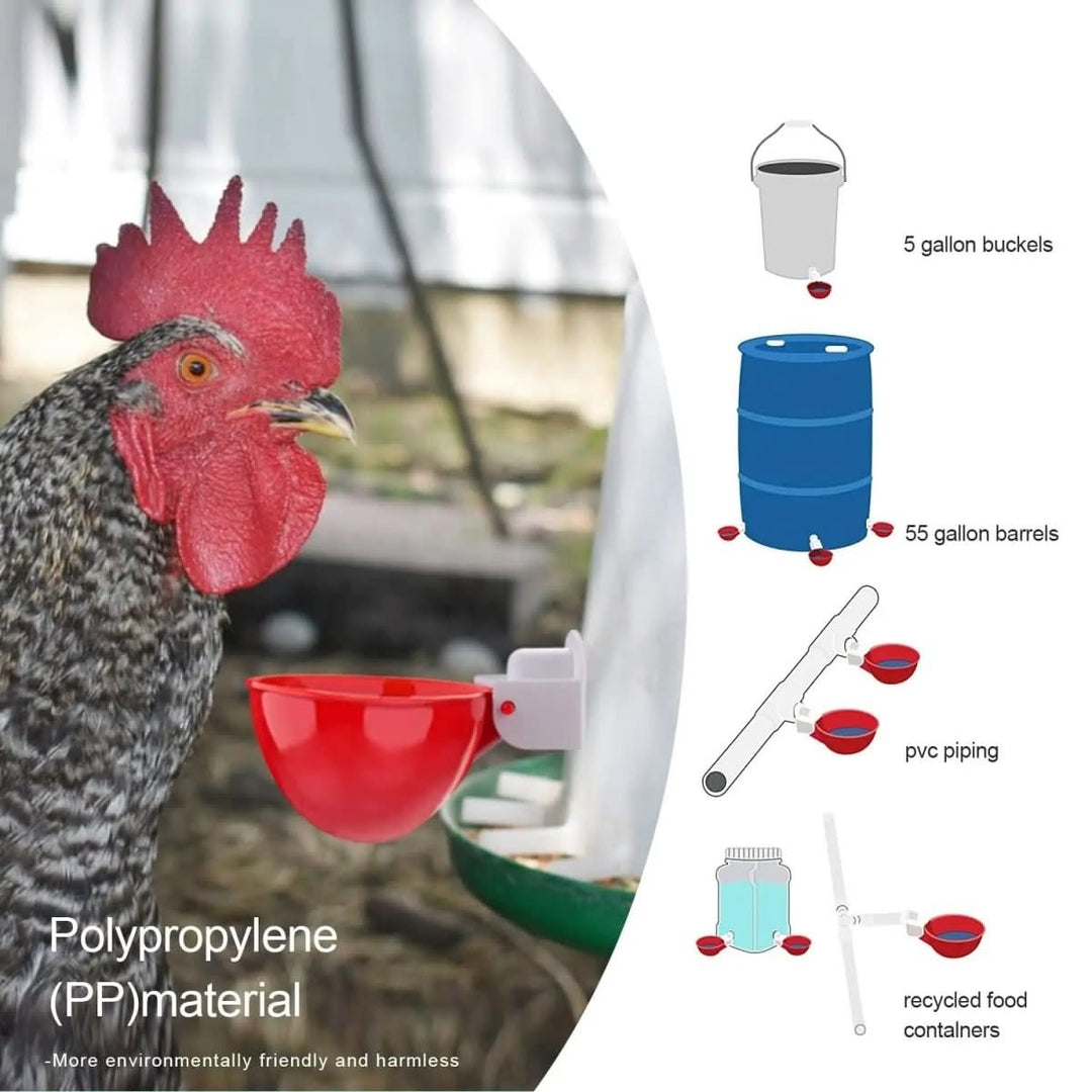 Lisslune | Automatic Chicken Waterer for Healthy Flocks