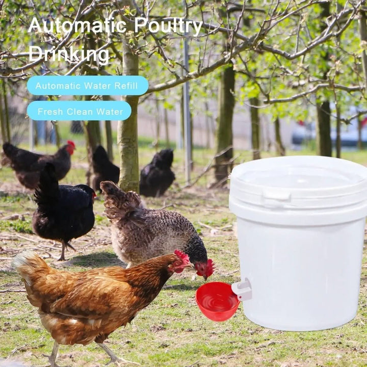 Lisslune | Automatic Chicken Waterer for Healthy Flocks