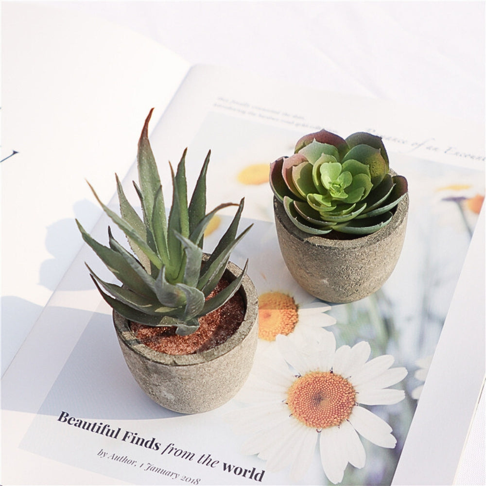 Lisslune | Verdea Artificial Succulent Plant Decor