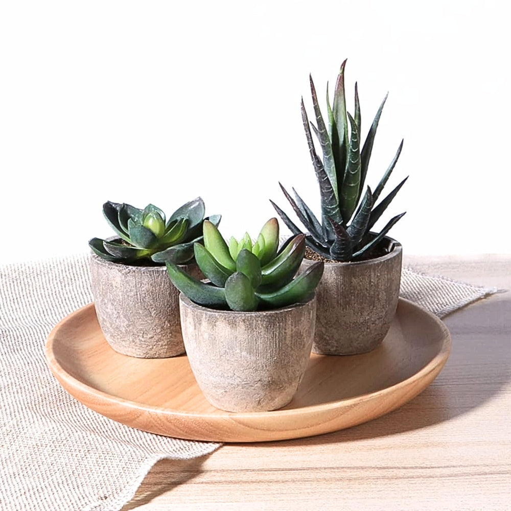 Lisslune | Verdea Artificial Succulent Plant Decor