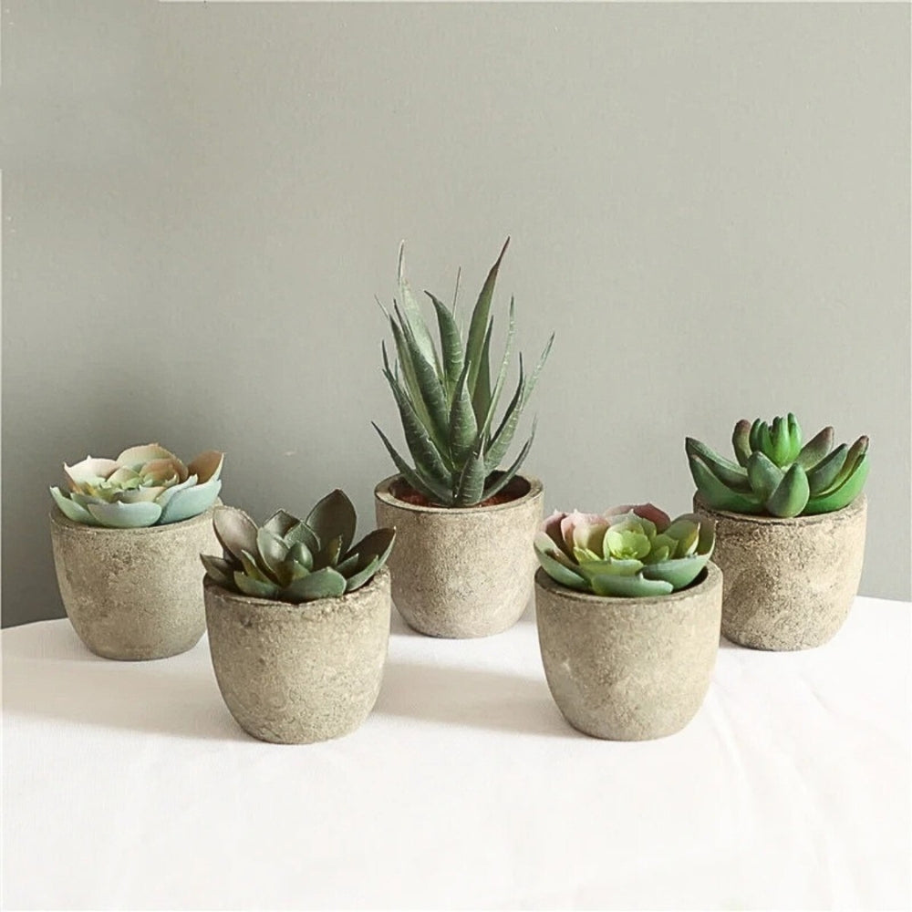 Lisslune | Verdea Artificial Succulent Plant Decor