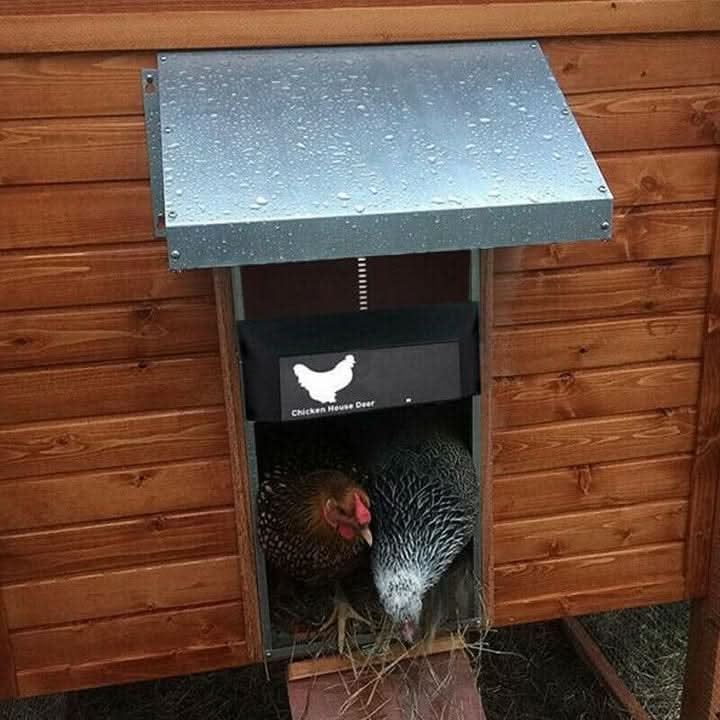 Lisslune | Automatic Chicken Coop Door with Light Sensor & Weather Protection