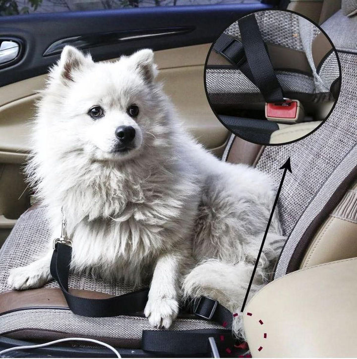 Lisslune | PETECURE – Adjustable safety belt for pets in the car