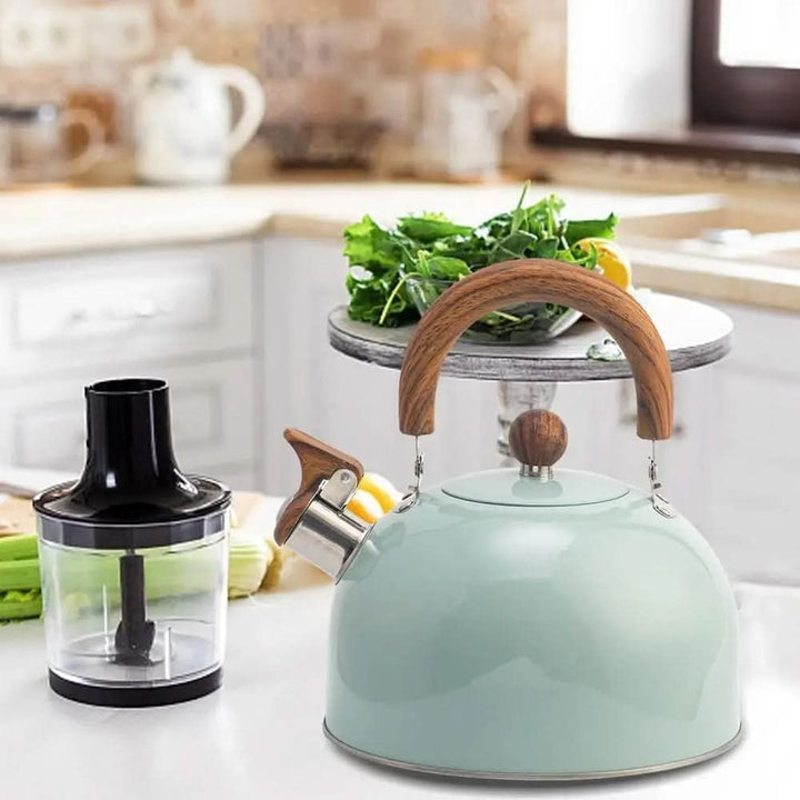 Lisslune | 3L stainless steel kettle with robust structure & soft grip
