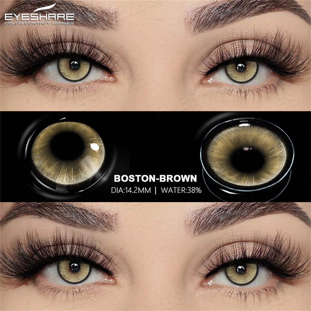 Rynx Boston Brown 14.5 mm 1 Pair | 1 Year