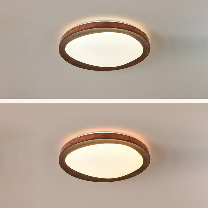 Lisslune | Simplicity Iron Acrylic Round LED Ceiling Lamp for Bedroom