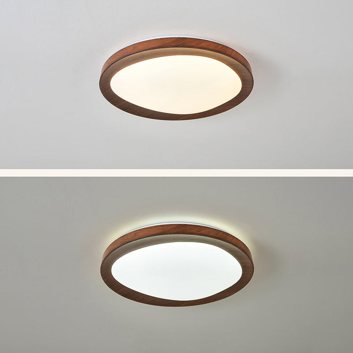 Lisslune | Simplicity Iron Acrylic Round LED Ceiling Lamp for Bedroom