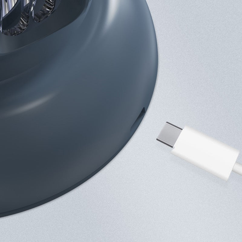 Lisslune | Electric Shock Mosquito Killer With Lighting