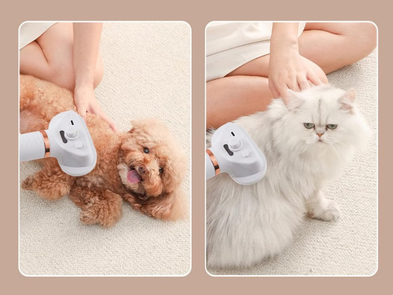 Lisslune | Pet De-Shedding Spray And Blow-Dry Brush