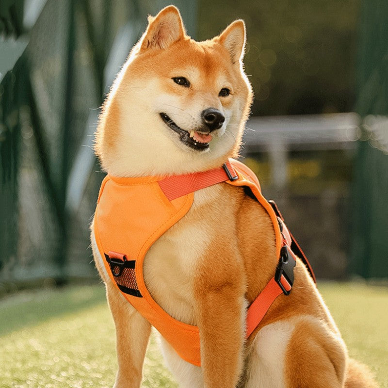 Lisslune | Pet Chest-Back Integrated Automatic Retractable Leash
