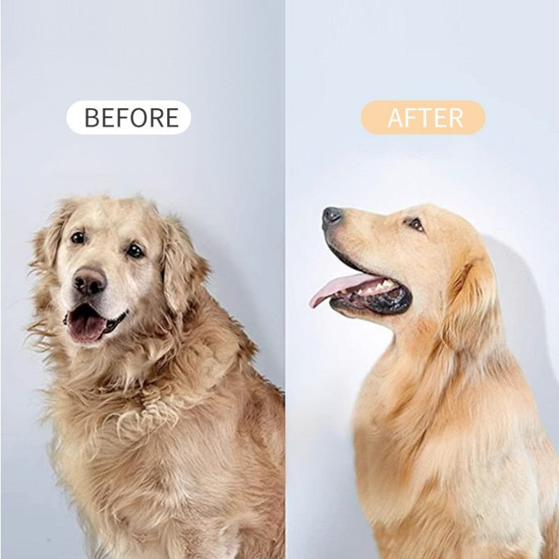Lisslune | Pet De-Shedding Spray And Blow-Dry Brush