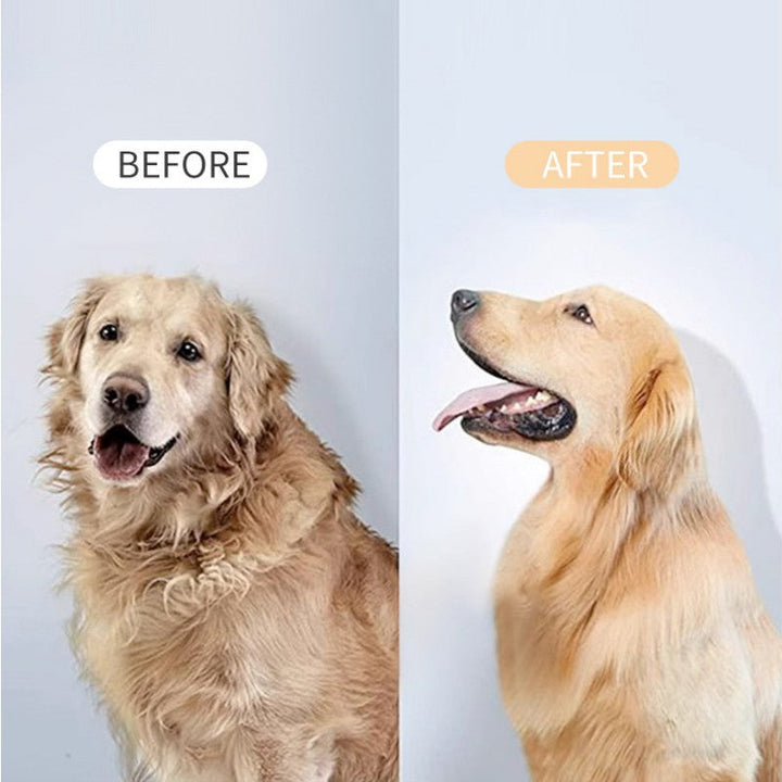 Lisslune | Pet De-Shedding Spray And Blow-Dry Brush
