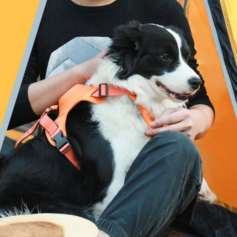 Lisslune | Pet Chest-Back Integrated Automatic Retractable Leash